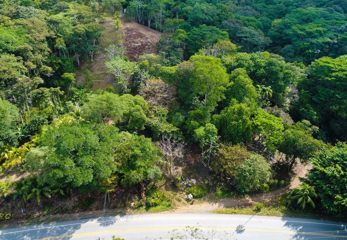 BUILDING PROPERTY WITH OCEAN VIEWS, IN BALLENA – 14.63 ACRES
