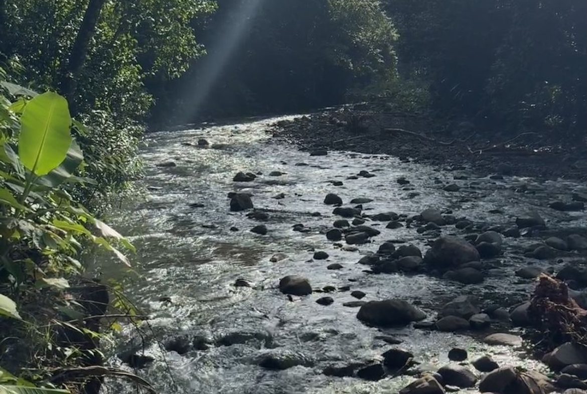 JUNGLE PROPERTY WITH EXTRA BUILDING LOTE A STEPS OF THE RIVER, IN CINCO VENTANAS OJOCHAL – 6.93 ACRES