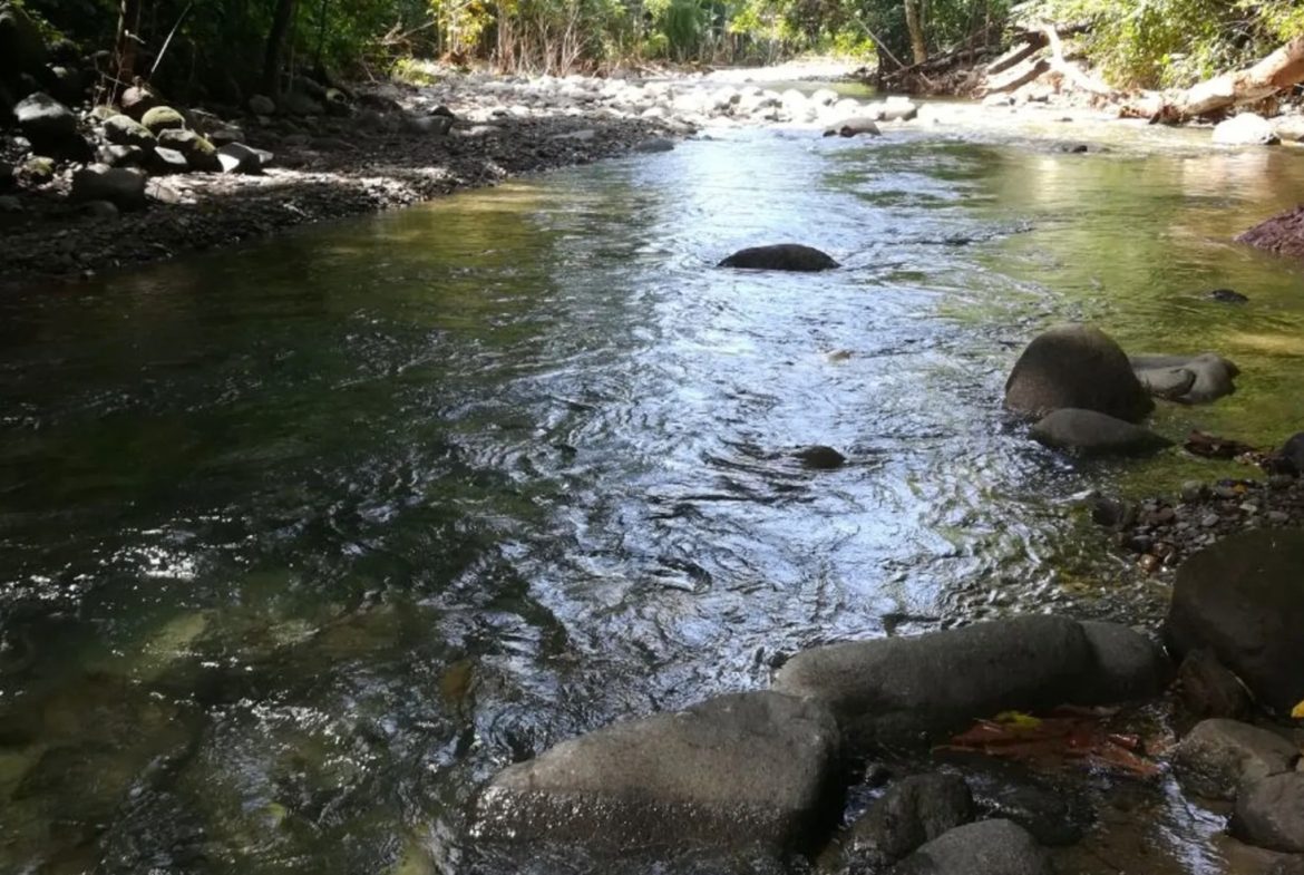 JUNGLE PROPERTY WITH EXTRA BUILDING LOTE A STEPS OF THE RIVER, IN CINCO VENTANAS OJOCHAL – 6.93 ACRES