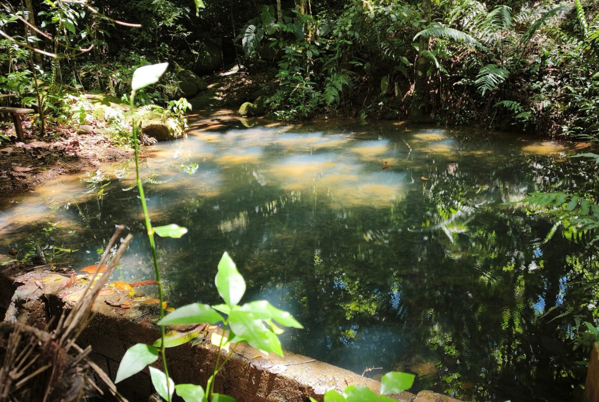 Teak Luxury 5-beds Home in the Mountains of Las Tumbas – 0.45 ACRES