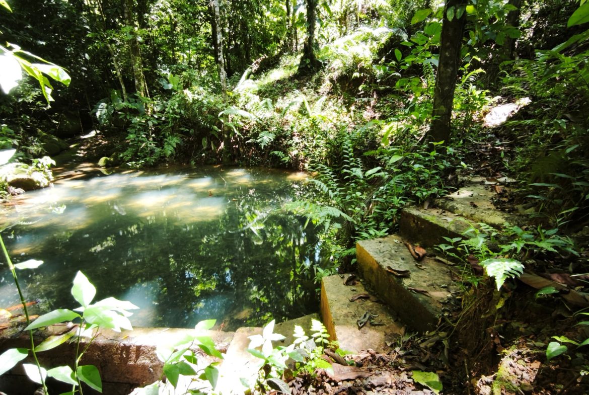 Teak Luxury 5-beds Home in the Mountains of Las Tumbas – 0.45 ACRES