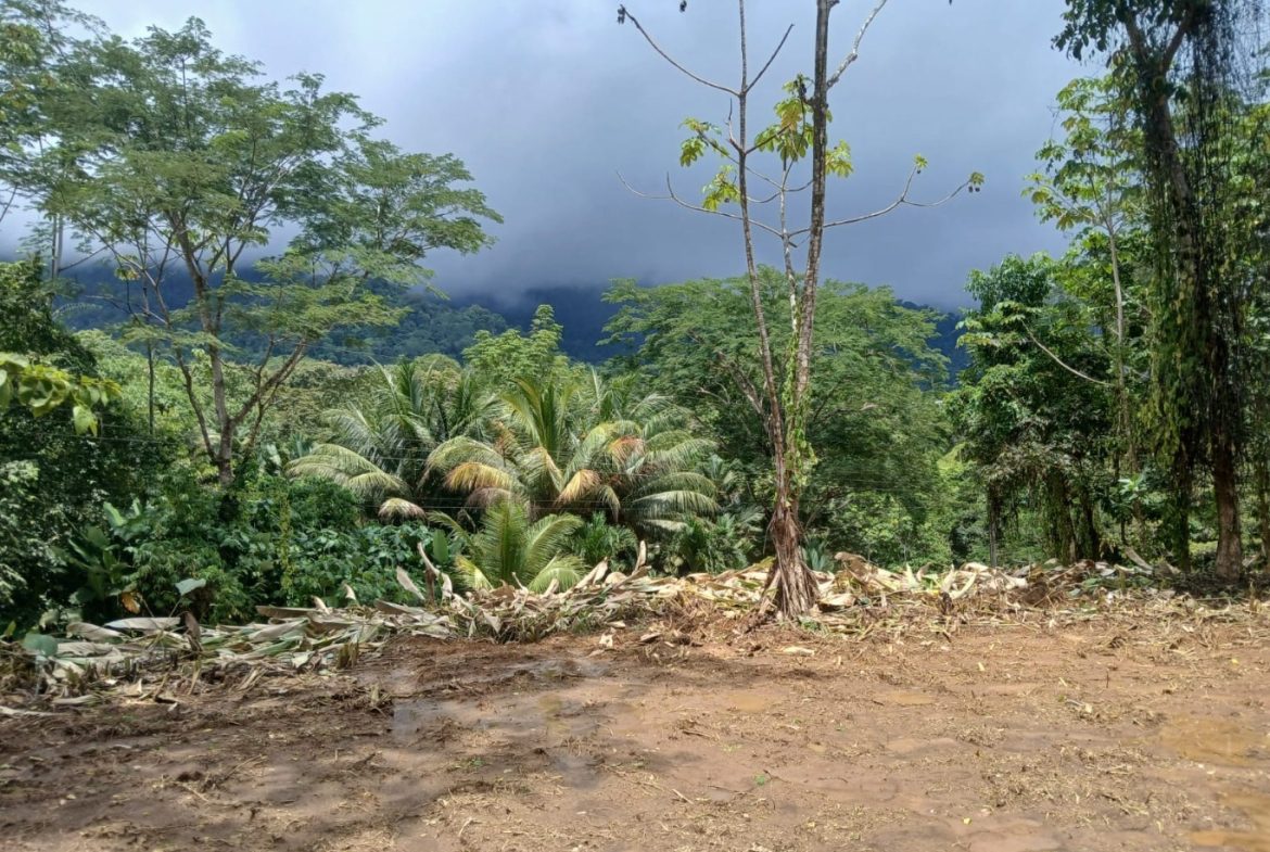 BUILDING PROPERTY WITH MOUNTAINS VIEWS, IN TORTUGA ARRIBA – 1.14 ACRES