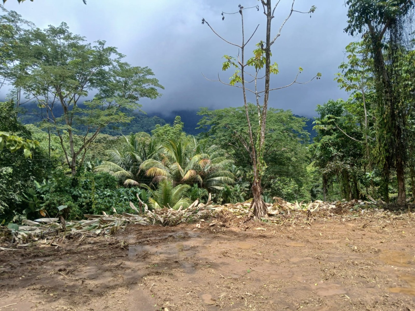 Mountain view and entrance area