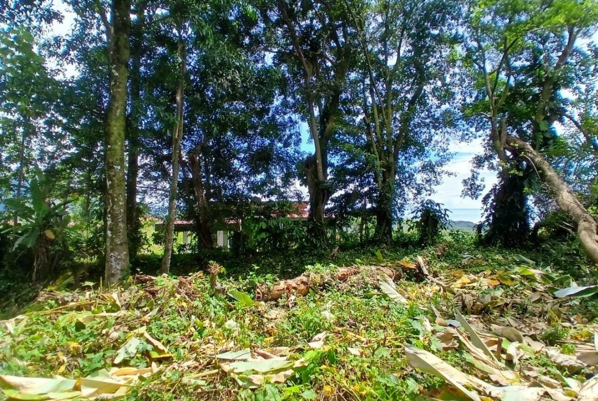 BUILDING PROPERTY WITH MOUNTAINS VIEWS, IN TORTUGA ARRIBA – 1.14 ACRES