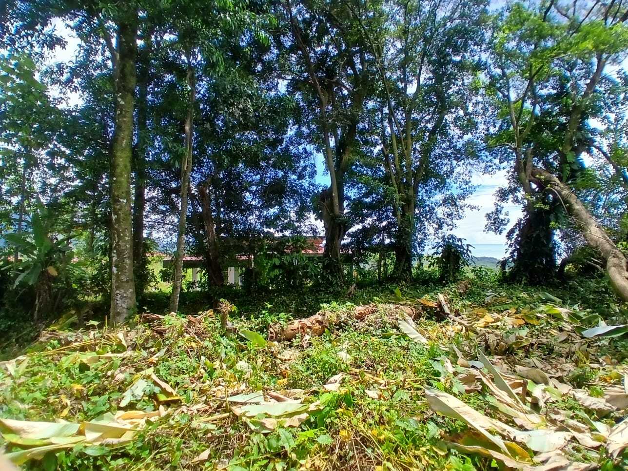 Ocean view 3 beside fase 10