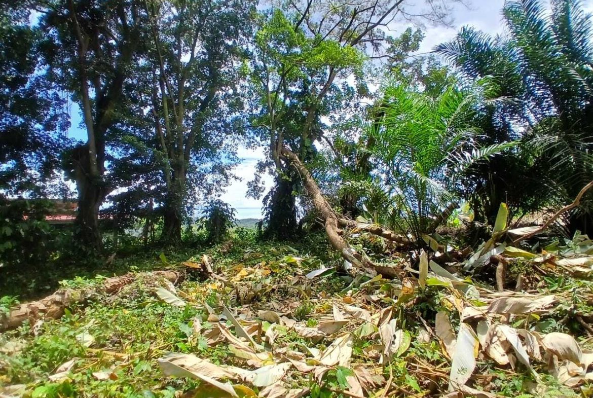 BUILDING PROPERTY WITH MOUNTAINS VIEWS, IN TORTUGA ARRIBA – 1.14 ACRES