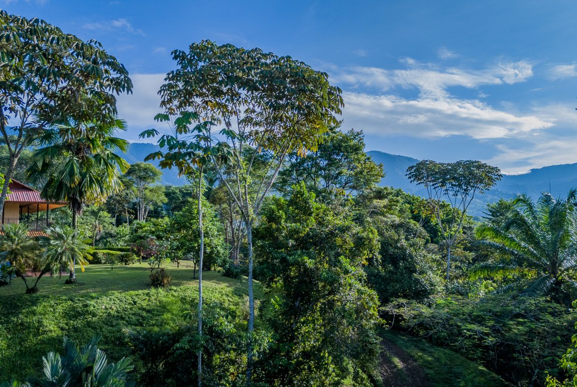 TWO FLOOR PROPERTY WITH LANDSCAPING VIEWS, IN TORTUGA ABAJO – 0.7 ACRES