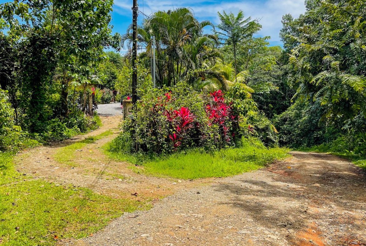 BUILDING PROPERTY WITH FRUIT TREES AND NEAR TO THE RIVER, IN OJOCHAL – 23 ACRES
