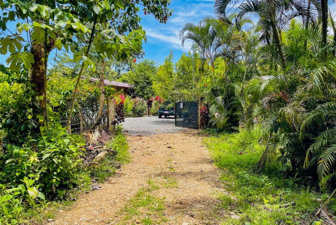 BUILDING PROPERTY WITH FRUIT TREES AND NEAR TO THE RIVER, IN OJOCHAL – 23 ACRES