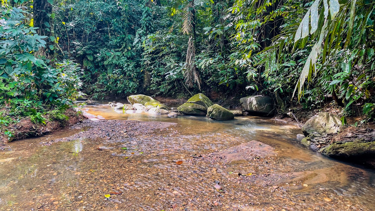 Osa Tropical Properties large land for sale ojochal 8171 38