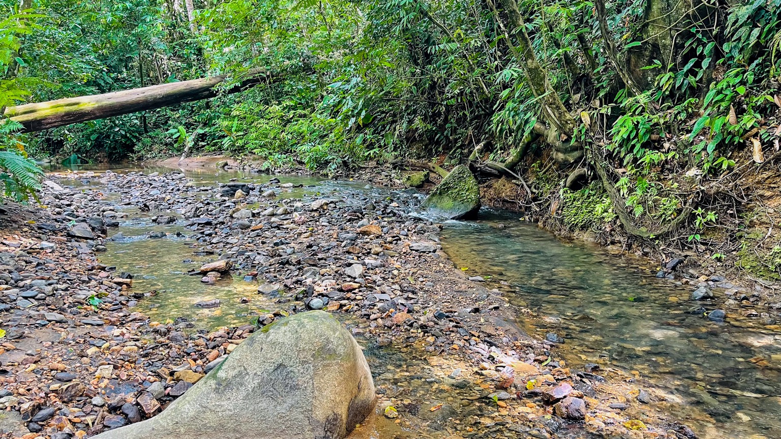 Osa Tropical Properties large land for sale ojochal 8171 39