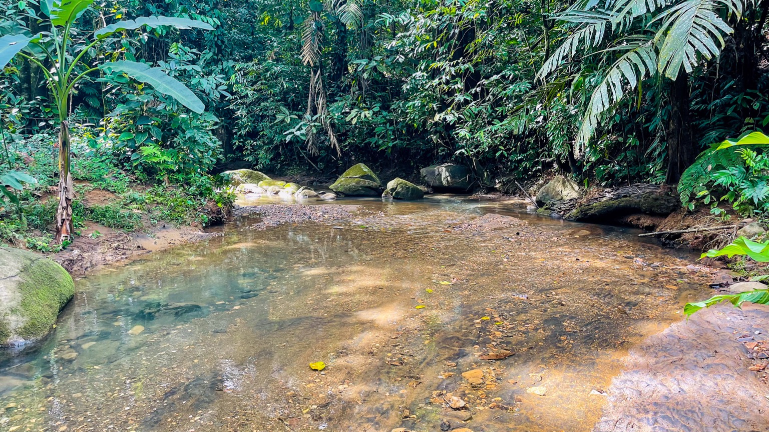 Osa Tropical Properties large land for sale ojochal 8171 40