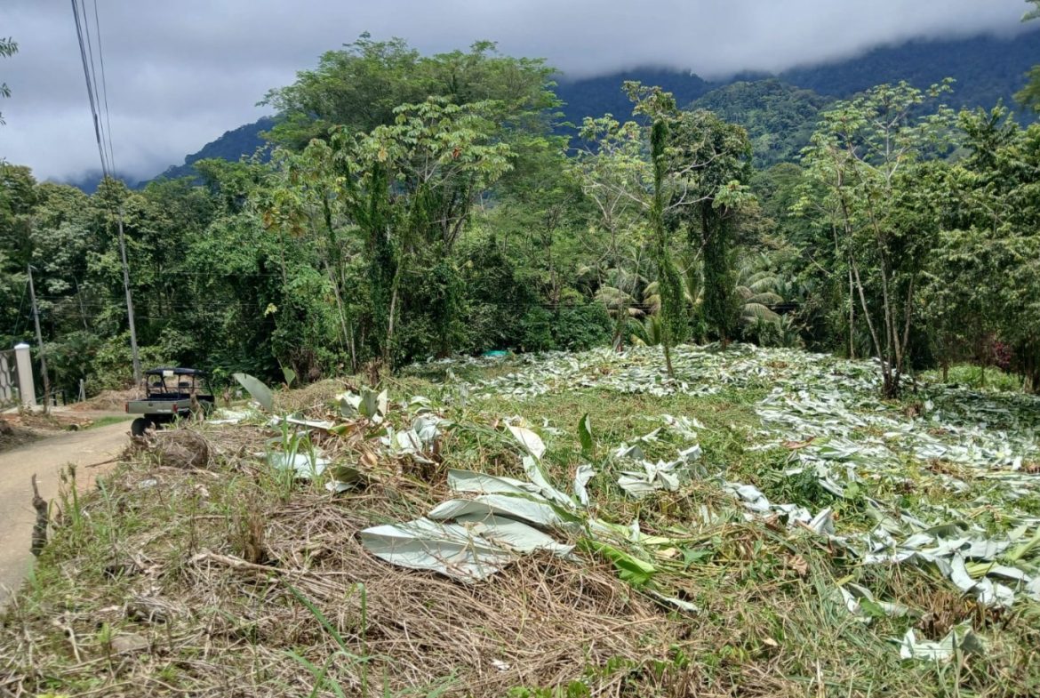 BUILDING PROPERTY WITH MOUNTAINS VIEWS, IN TORTUGA ARRIBA – 1.14 ACRES