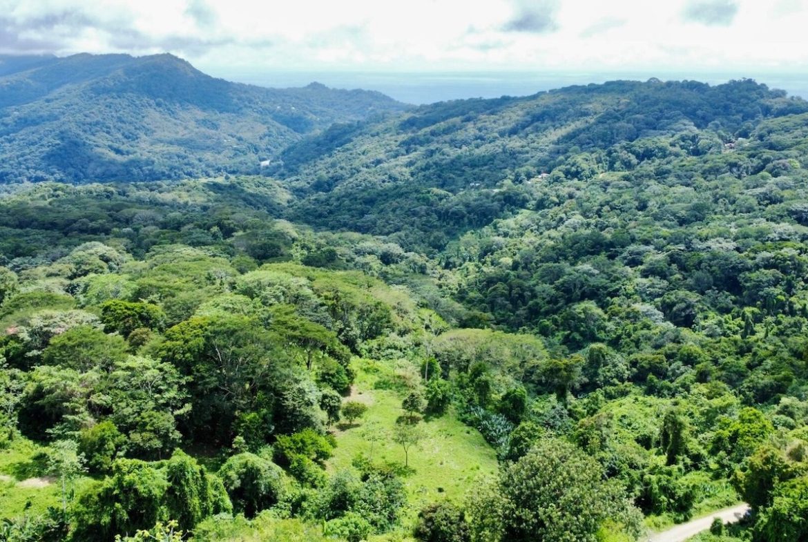 BUILDING PROPERTY WITH SUNSET VIEWS AND PANORAMIC VIEWS OF THE VALLEY, IN LAGUNAS DE BARU – 4.76 ACRES