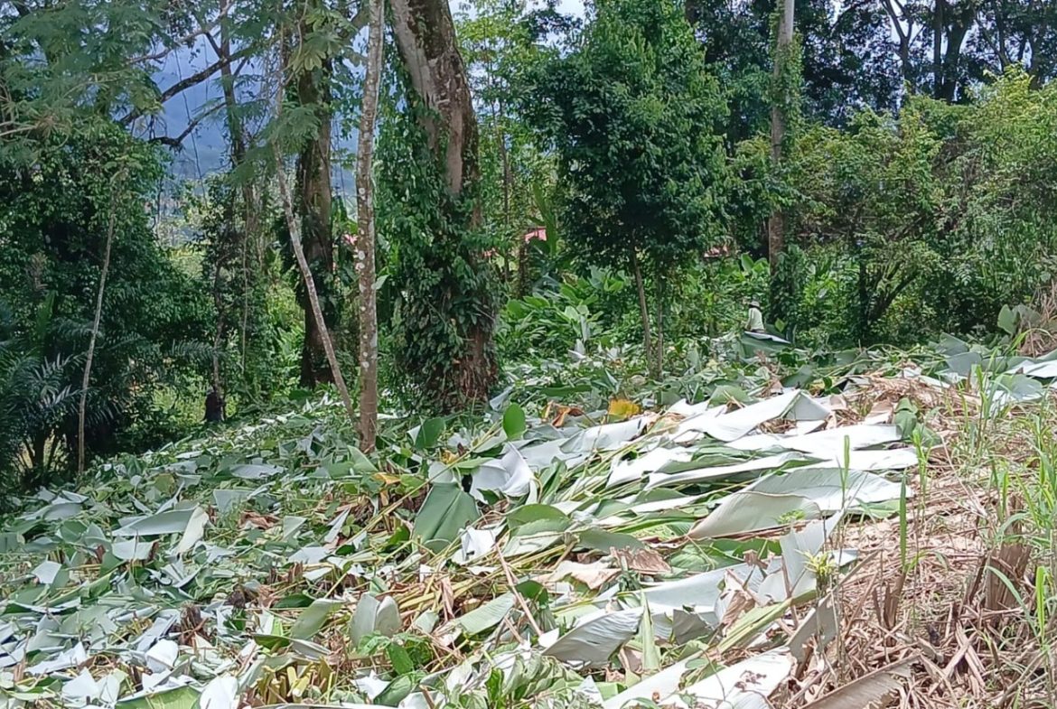 BUILDING PROPERTY WITH MOUNTAINS VIEWS, IN TORTUGA ARRIBA – 1.14 ACRES
