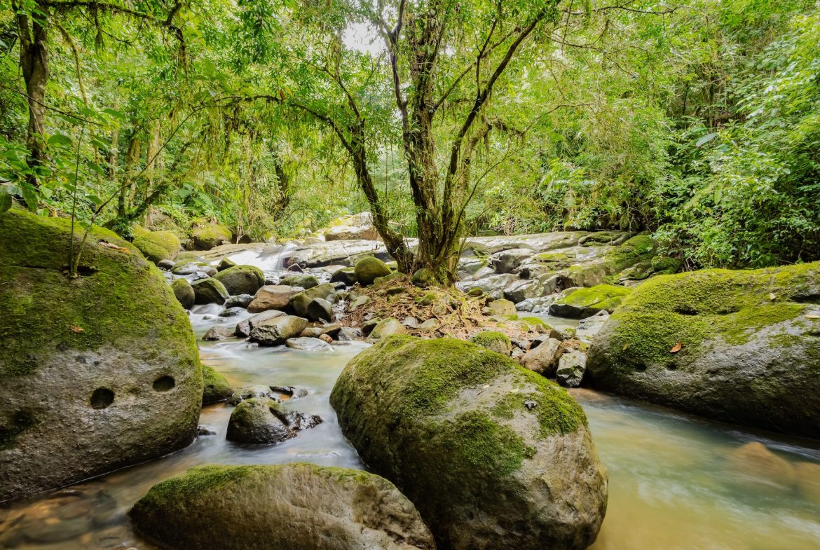 PROPERTY WITH A GUEST HOUSE AND LANDSCAPING VIEWS, IN TRINIDAD – 2.6 ACRES