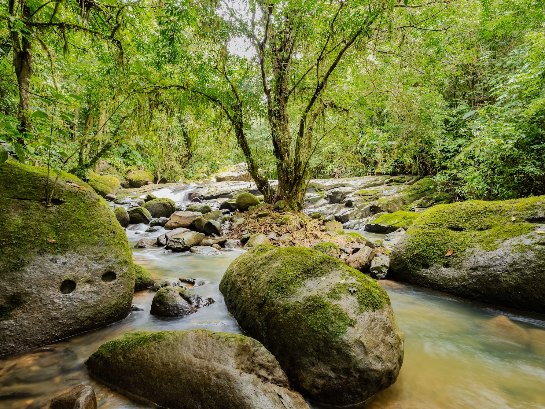 River_Serenity Gardens1