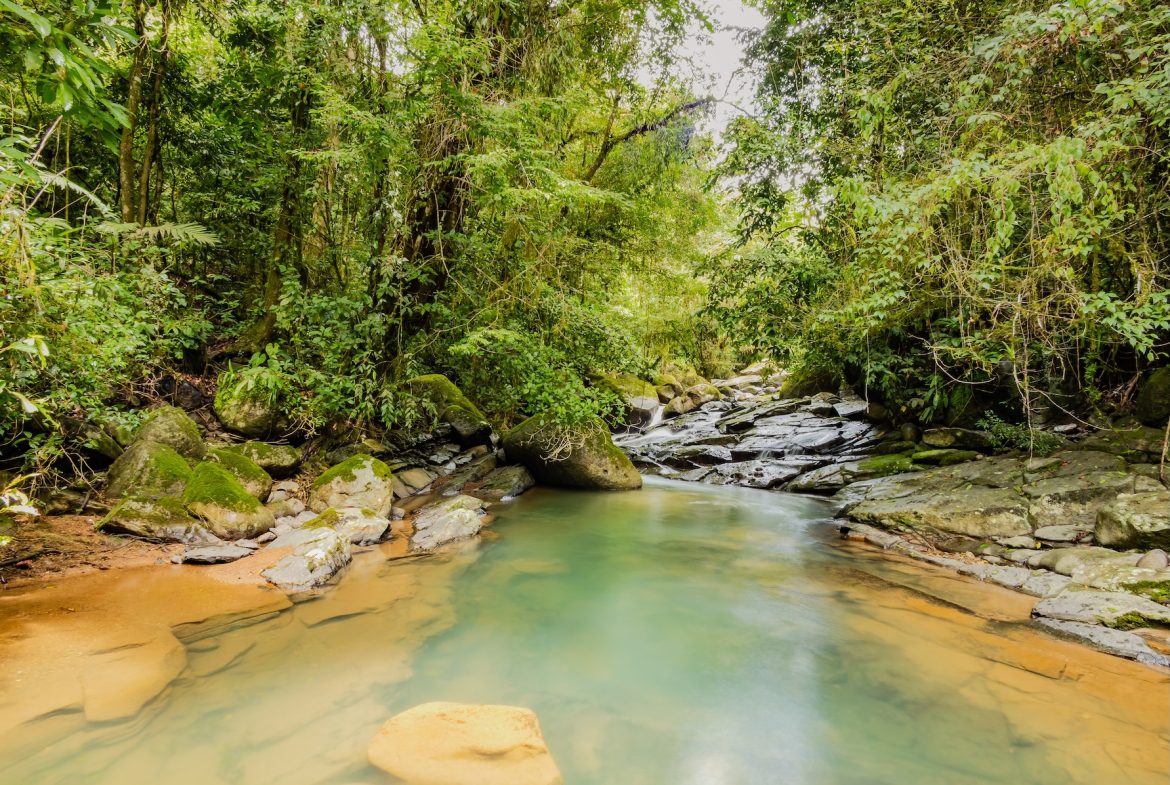 PROPERTY WITH A GUEST HOUSE AND LANDSCAPING VIEWS, IN TRINIDAD – 2.6 ACRES