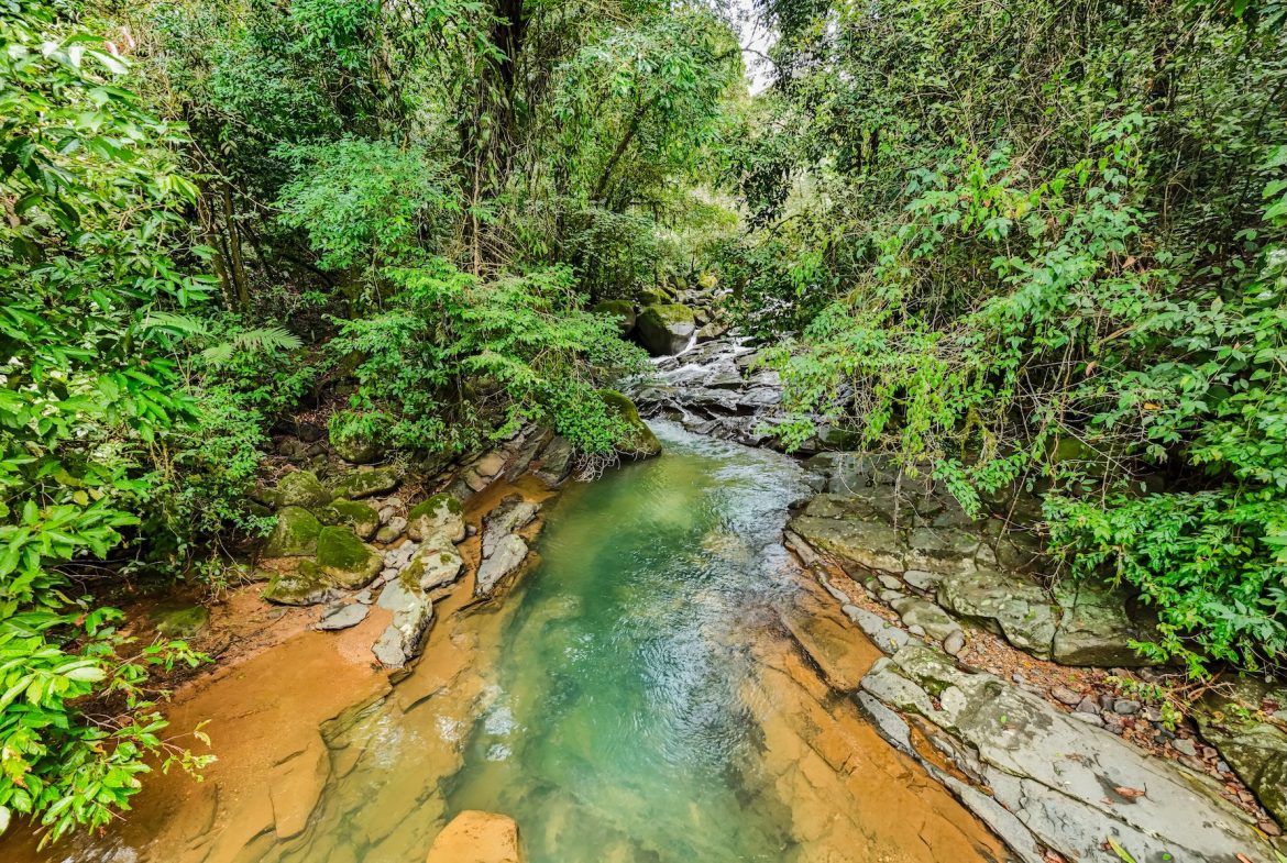 PROPERTY WITH A GUEST HOUSE AND LANDSCAPING VIEWS, IN TRINIDAD – 2.6 ACRES
