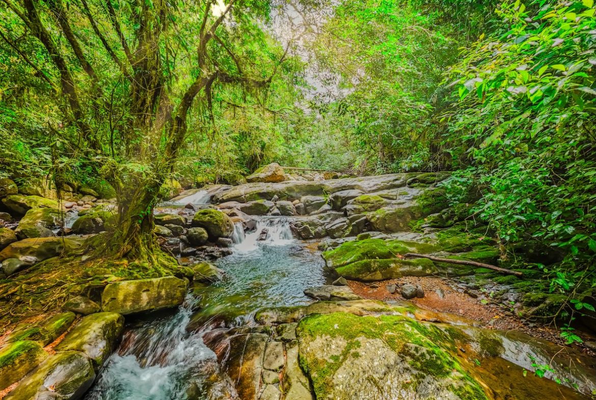 PROPERTY WITH A GUEST HOUSE AND LANDSCAPING VIEWS, IN TRINIDAD – 2.6 ACRES