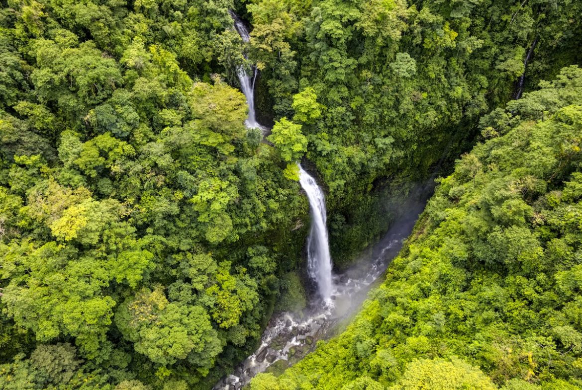 PROPERTY WITH A PANORAMIC VIEWS OF A MOUNTAINS AND WATERFALL, IN ALFOMBRA TINAMASTES – 21.34 ACRES