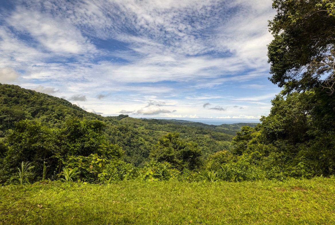 PROPERTY WITH A PANORAMIC VIEWS OF A MOUNTAINS AND WATERFALL, IN ALFOMBRA TINAMASTES – 21.34 ACRES