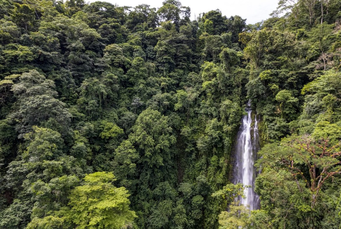PROPERTY WITH A PANORAMIC VIEWS OF A MOUNTAINS AND WATERFALL, IN ALFOMBRA TINAMASTES – 21.34 ACRES