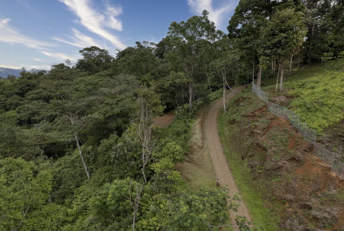 PROPERTY WITH A PANORAMIC VIEWS OF A MOUNTAINS AND WATERFALL, IN ALFOMBRA TINAMASTES – 21.34 ACRES, Uvita, Costa Rica — photo 2