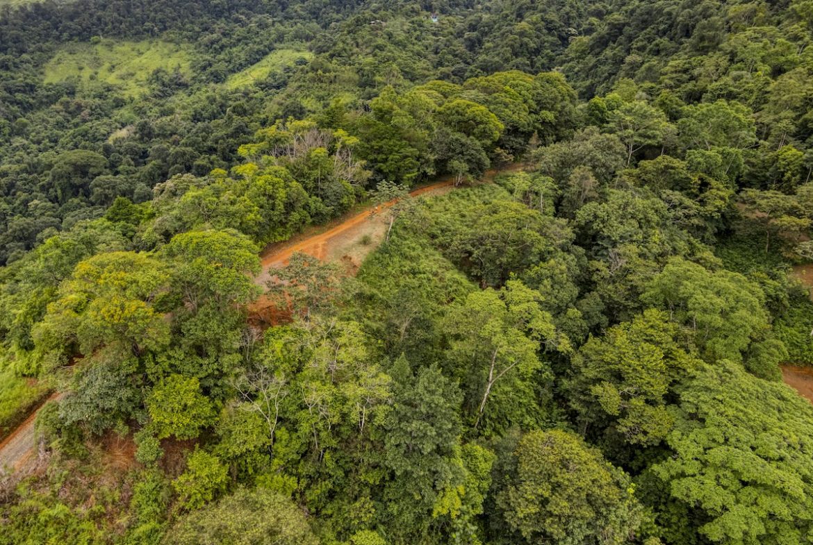 PROPERTY WITH A PANORAMIC VIEWS OF A MOUNTAINS AND WATERFALL, IN ALFOMBRA TINAMASTES – 21.34 ACRES