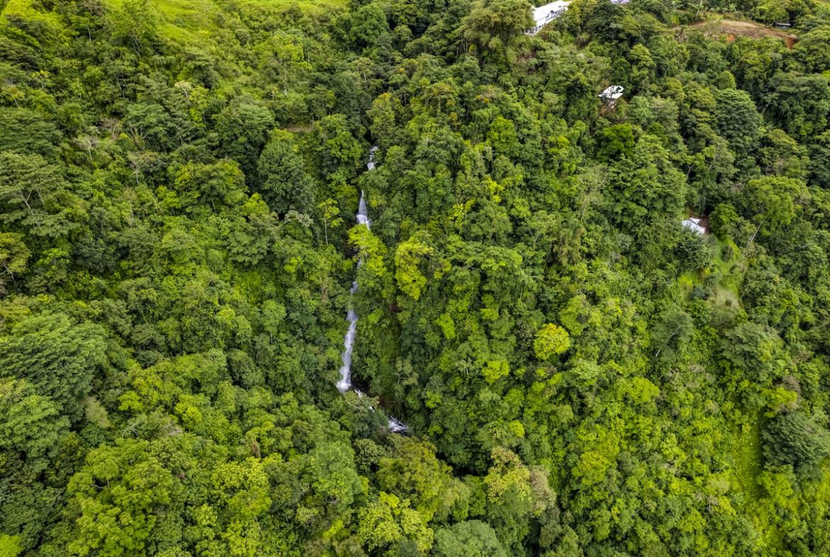 PROPERTY WITH A PANORAMIC VIEWS OF A MOUNTAINS AND WATERFALL, IN ALFOMBRA TINAMASTES – 21.34 ACRES, Uvita, Costa Rica — photo 4