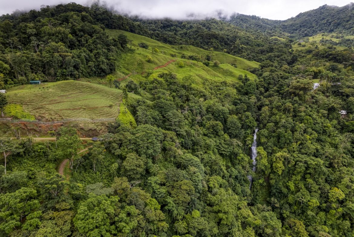 PROPERTY WITH A PANORAMIC VIEWS OF A MOUNTAINS AND WATERFALL, IN ALFOMBRA TINAMASTES – 21.34 ACRES, Uvita, Costa Rica — photo 3