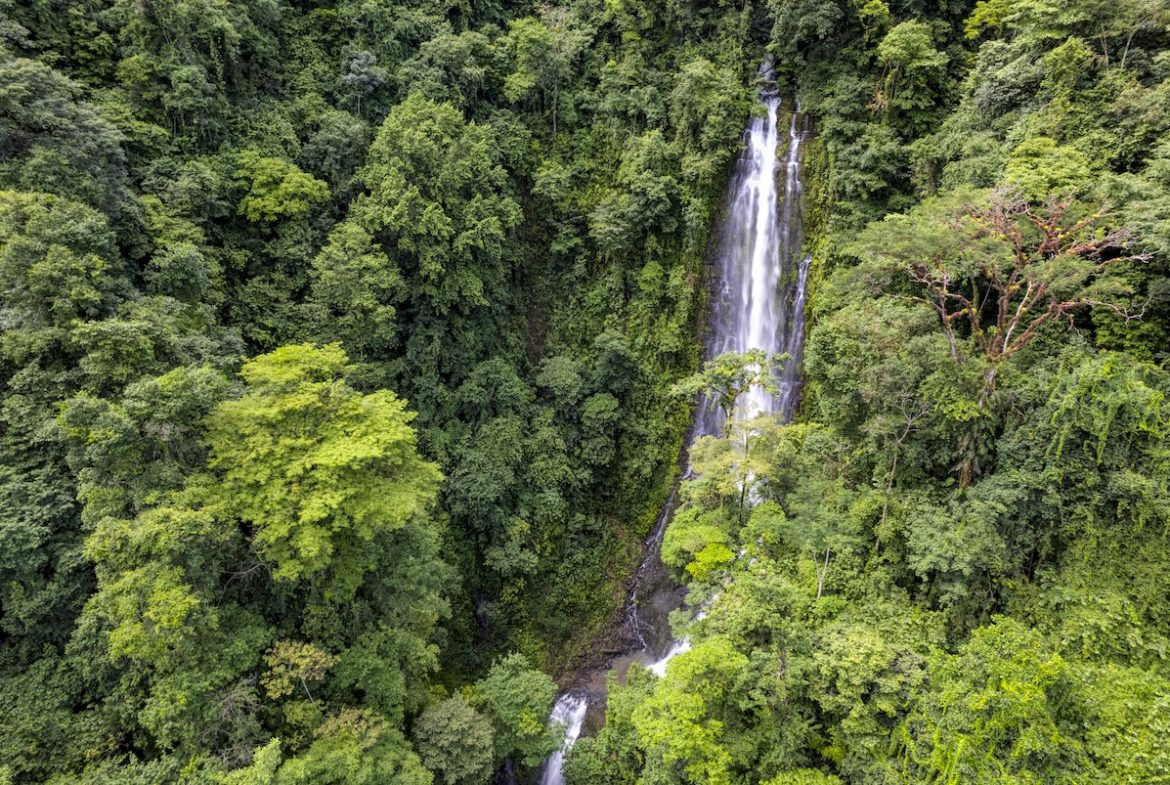 PROPERTY WITH A PANORAMIC VIEWS OF A MOUNTAINS AND WATERFALL, IN ALFOMBRA TINAMASTES – 21.34 ACRES