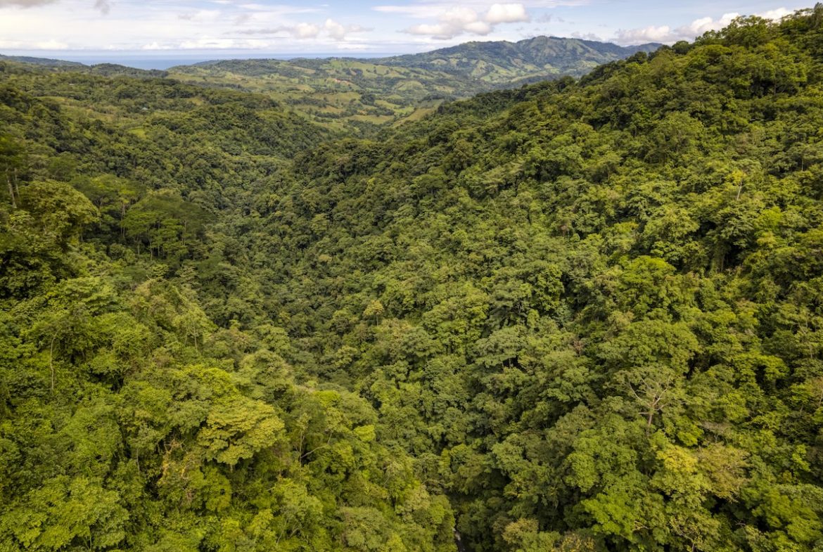 PROPERTY WITH A PANORAMIC VIEWS OF A MOUNTAINS AND WATERFALL, IN ALFOMBRA TINAMASTES – 21.34 ACRES
