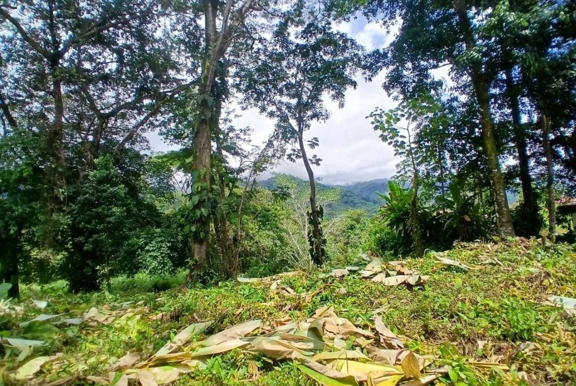 BUILDING PROPERTY WITH MOUNTAINS VIEWS, IN TORTUGA ARRIBA – 1.14 ACRES