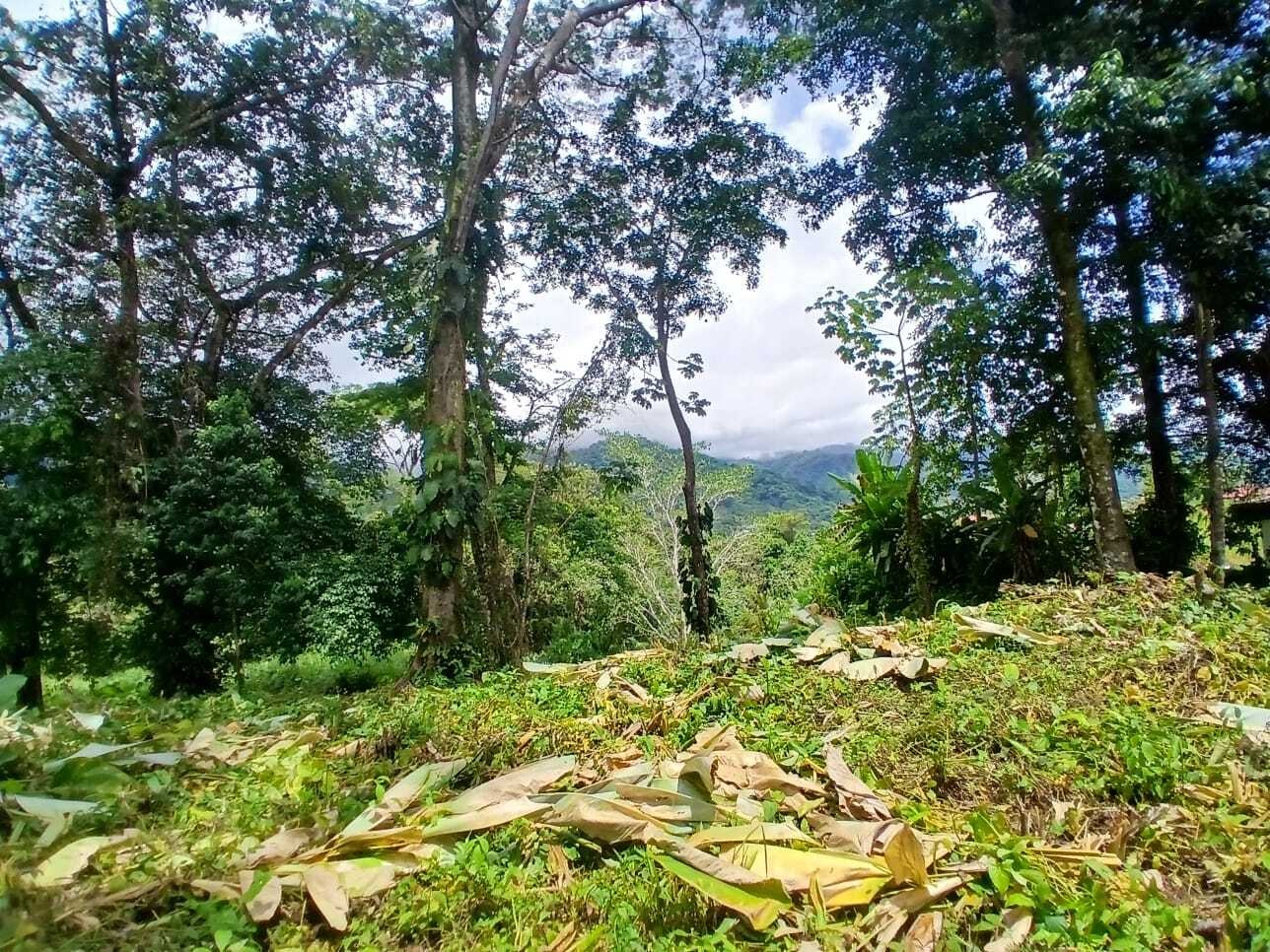 corner 1 mountain view