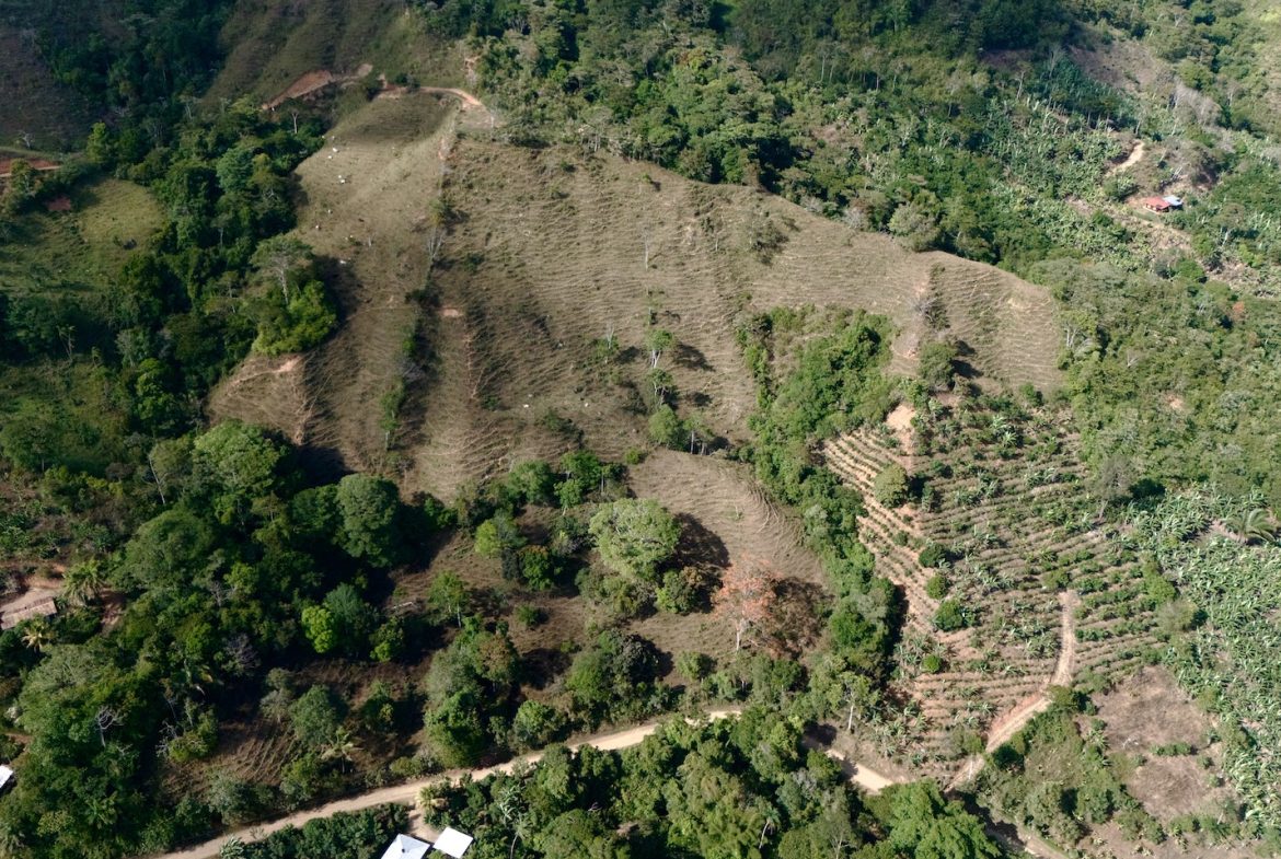 FARM PROPERTY WITH FRUIT TREES COFFEE, CACAO, BANANAS,CITRUS FRUIT, IN CEIBO – 2.5 ACRES