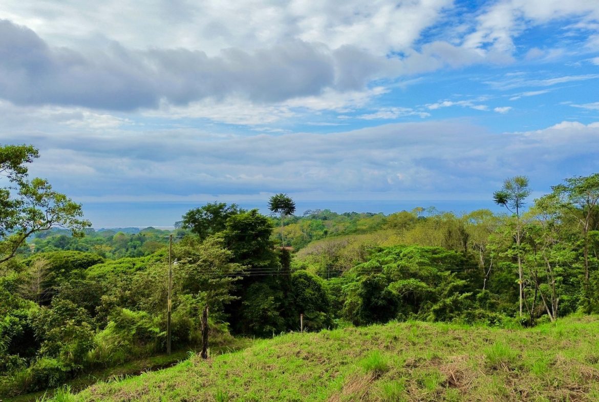 BUILDING PROPERTY WITH PANORAMIC VIEWS OF THE OCEAN AND THE SUNSET, IN OJOCHAL – 0.34 ACRES