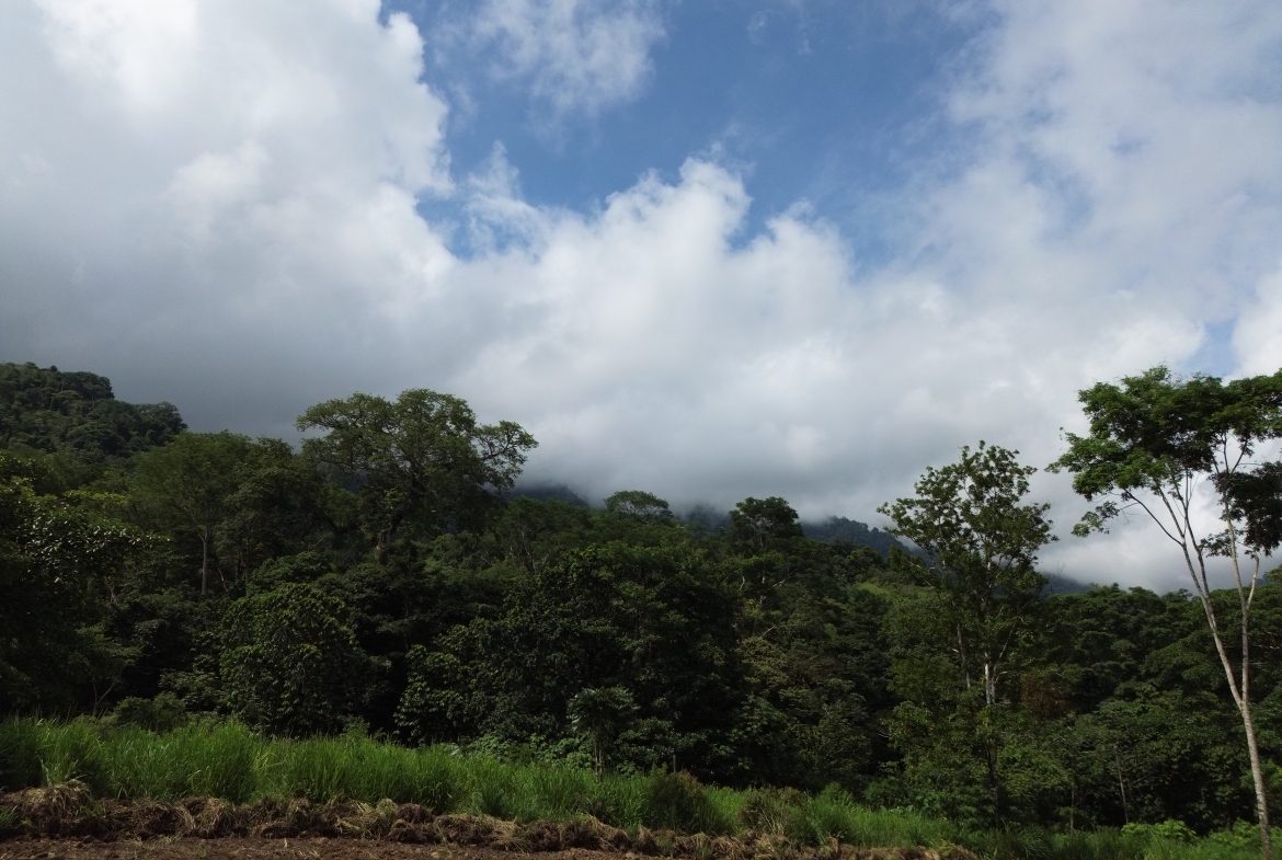BUILDING PROPERTY WITH MOUNTAINS VIEWS IN OJOCHAL TORTUGA ARRIBA – 1.32 ACRES