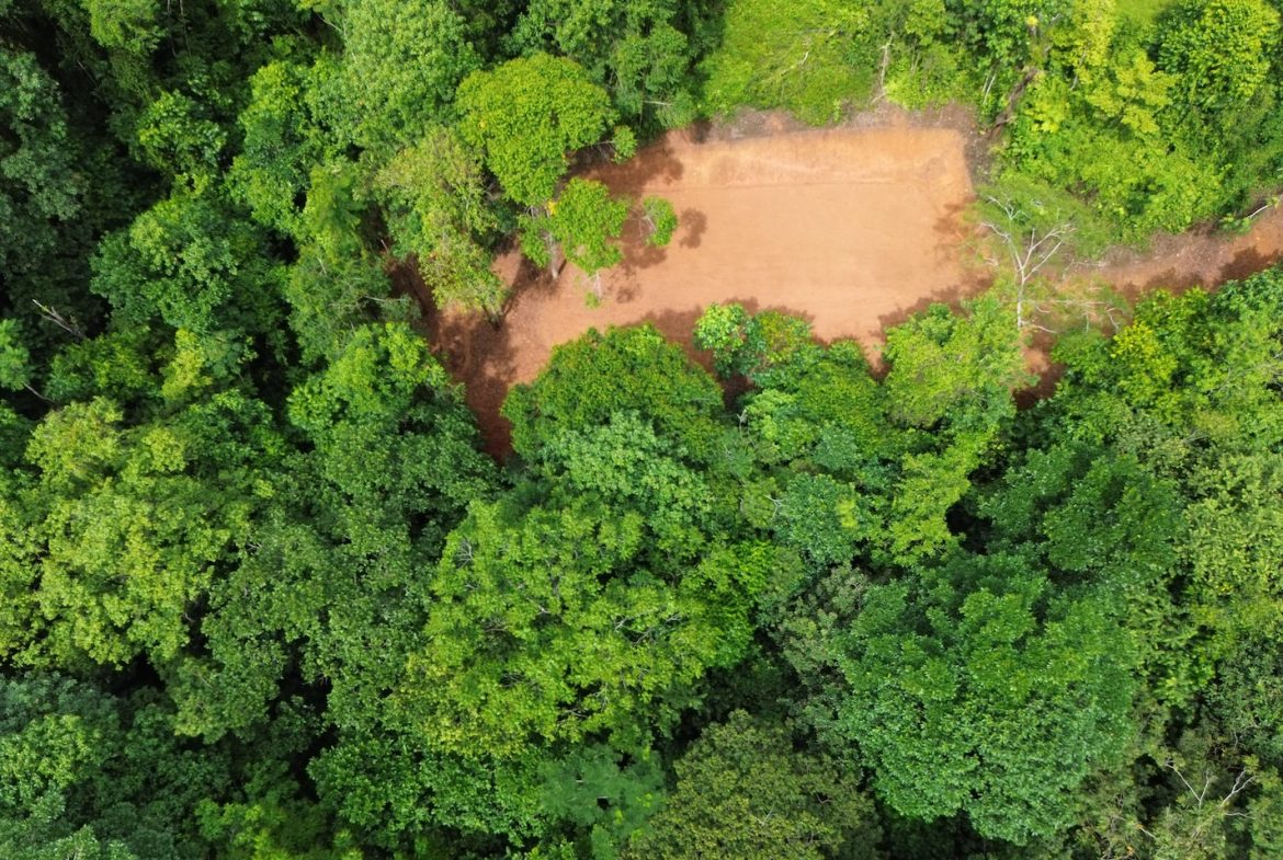 JUNGLE BUILDING PROPERTY NEAR TO THE CREEK, IN TORTUGA  ARRIBA – 2.41 ACRES