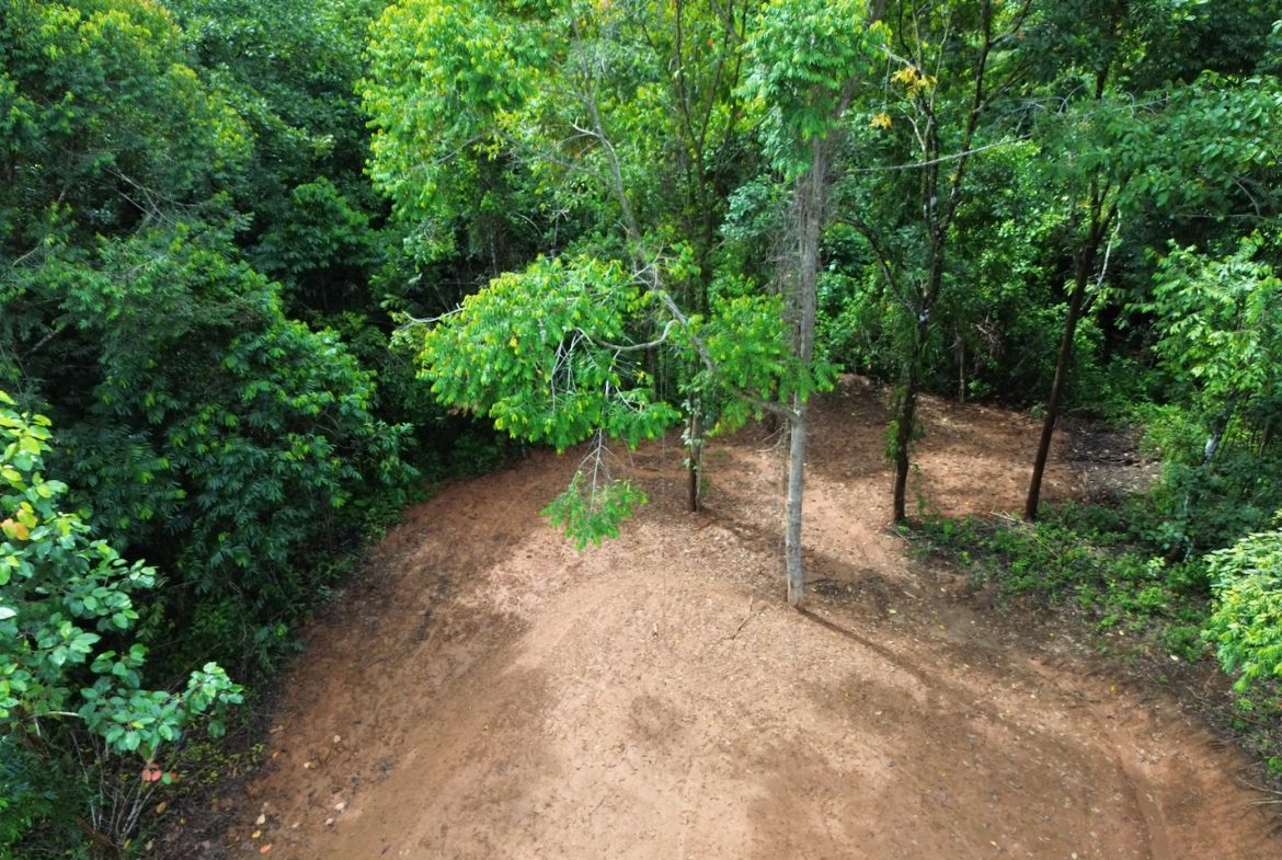 JUNGLE BUILDING PROPERTY NEAR TO THE CREEK, IN TORTUGA  ARRIBA – 2.41 ACRES