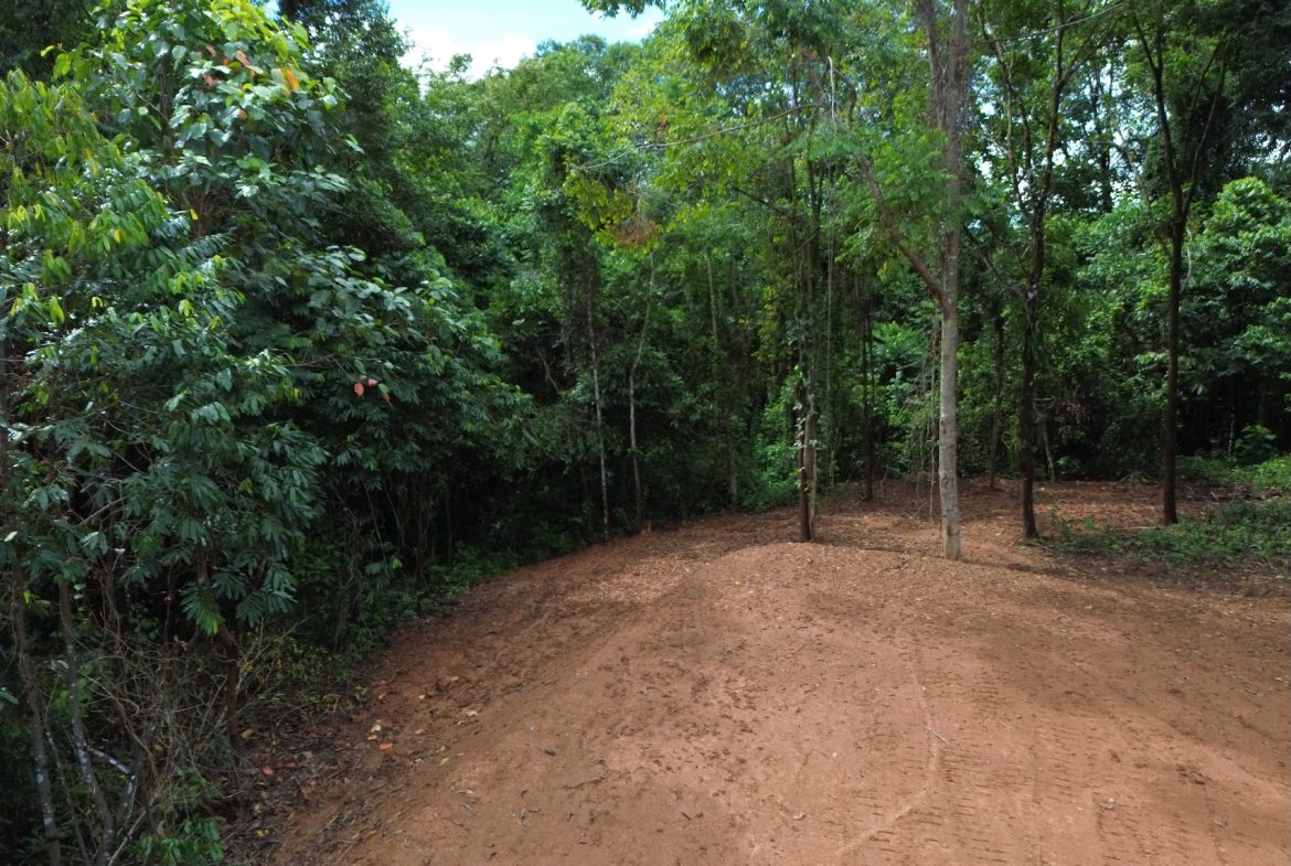 JUNGLE BUILDING PROPERTY NEAR TO THE CREEK, IN TORTUGA  ARRIBA – 2.41 ACRES