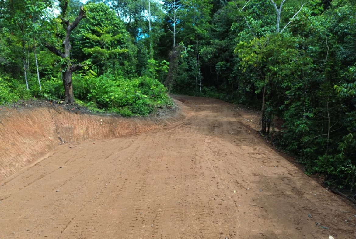 JUNGLE BUILDING PROPERTY NEAR TO THE CREEK, IN TORTUGA  ARRIBA – 2.41 ACRES