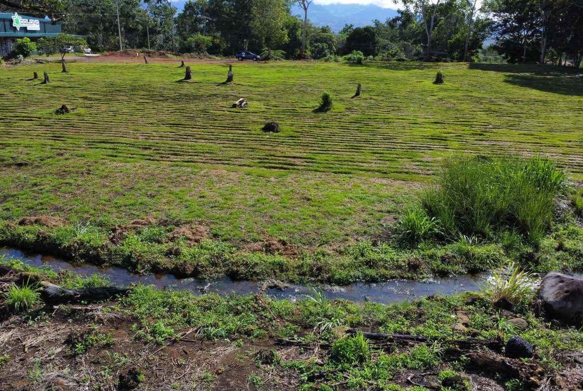 PRIME COMMERCIAL OPPORTUNITY WITH ROUTE 2 FRONTAGE IN PEREZ ZELEDON – 2 ACRES