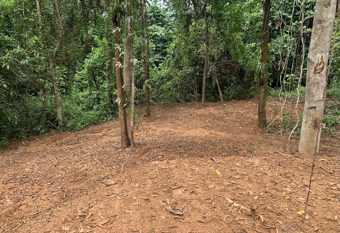 JUNGLE BUILDING PROPERTY NEAR TO THE CREEK, IN TORTUGA  ARRIBA – 2.41 ACRES