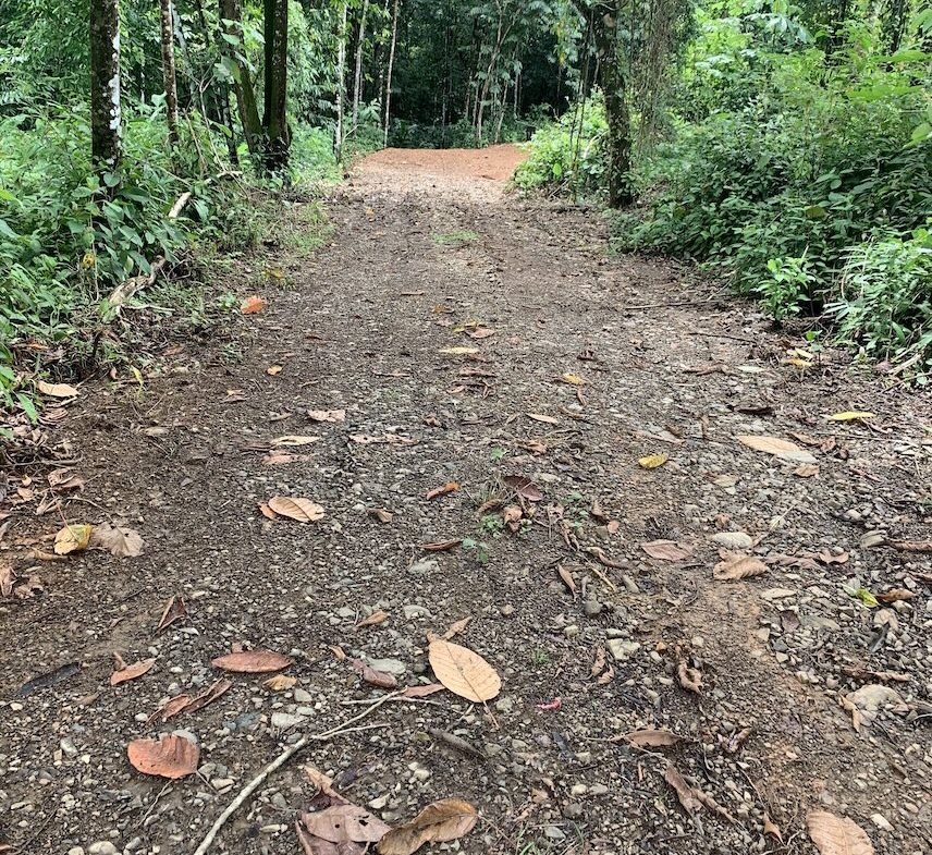 JUNGLE BUILDING PROPERTY NEAR TO THE CREEK, IN TORTUGA  ARRIBA – 2.41 ACRES