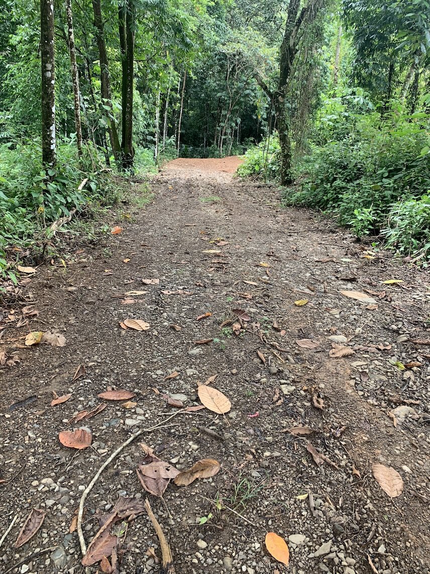 lot 15 driveway