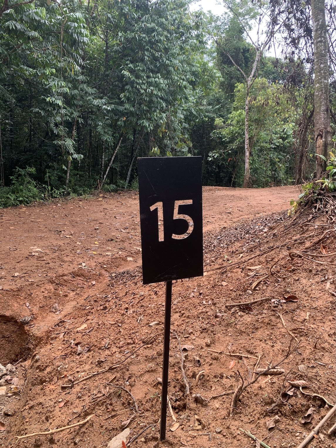 lot 15 sign