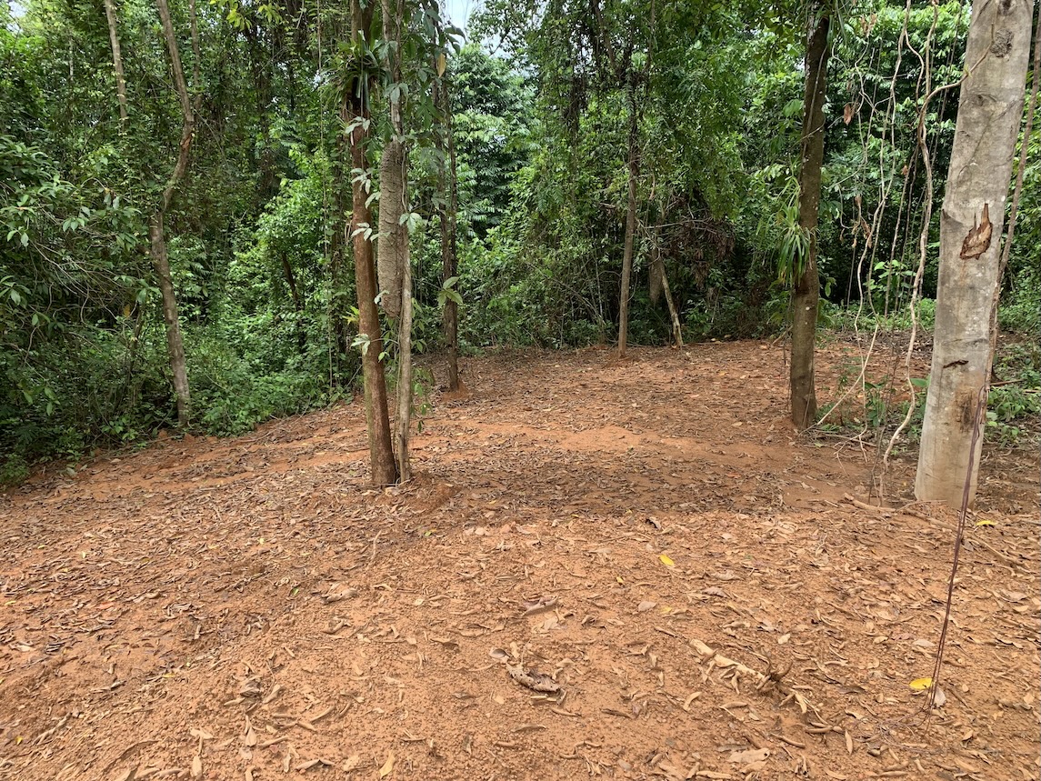 lot 15