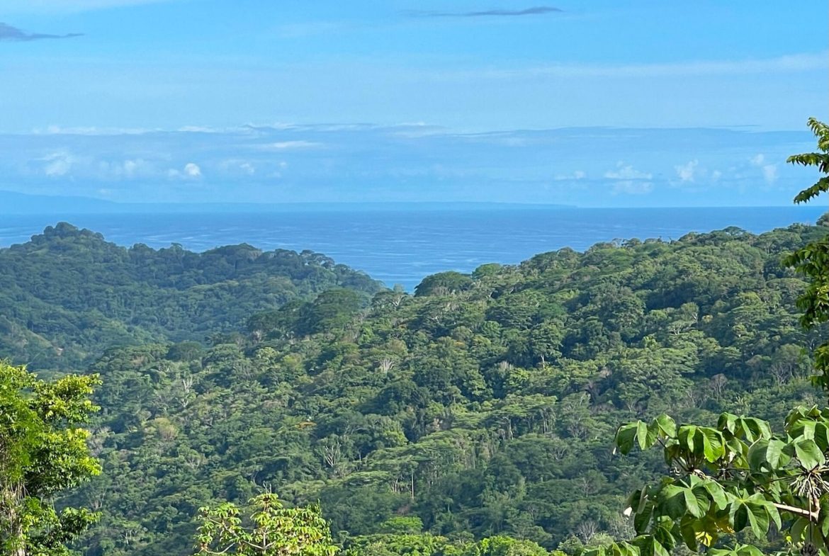 BUILDING PROPERTY WITH SUNSET VIEWS AND PANORAMIC VIEWS OF THE VALLEY, IN LAGUNAS DE BARU – 4.76 ACRES