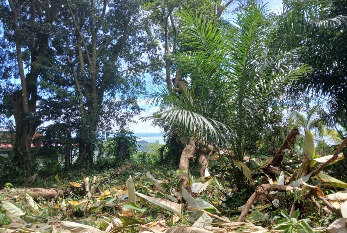 BUILDING PROPERTY WITH MOUNTAINS VIEWS, IN TORTUGA ARRIBA – 1.14 ACRES
